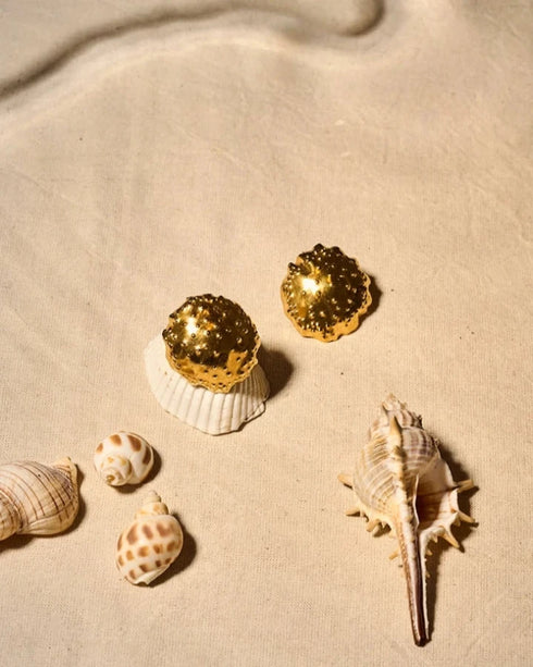 Aretes Conchas de medusa pequeñas baño en Oro de 24 k