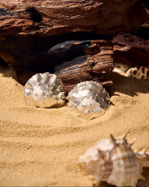 Aretes Conchas de medusa grandes Plata ley 950