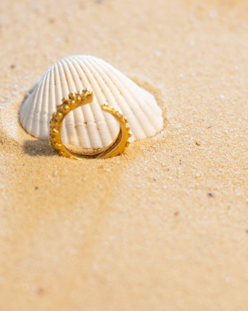Anillo Tentáculo de Pulpo Bronce con baño en Oro 24 k