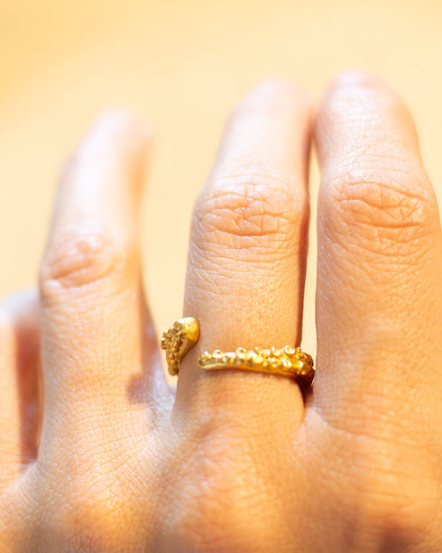 Anillo Tentáculo de Pulpo Bronce con baño en Oro 24 k