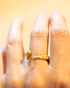 Anillo Tentáculo de Pulpo Bronce con baño en Oro 24 k