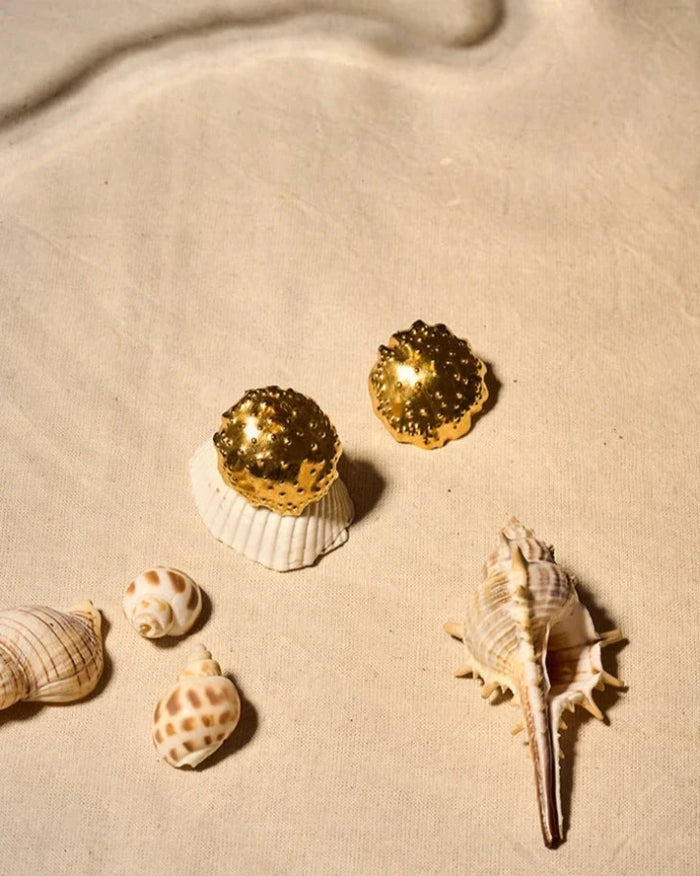 Aretes Conchas de medusa grandes baño en oro 24 k
